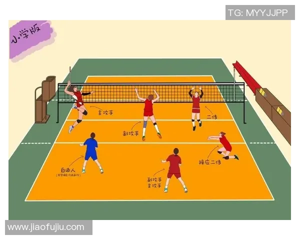 杭州排球队个人能力提升引发热议探索新战术与团队协作的完美结合