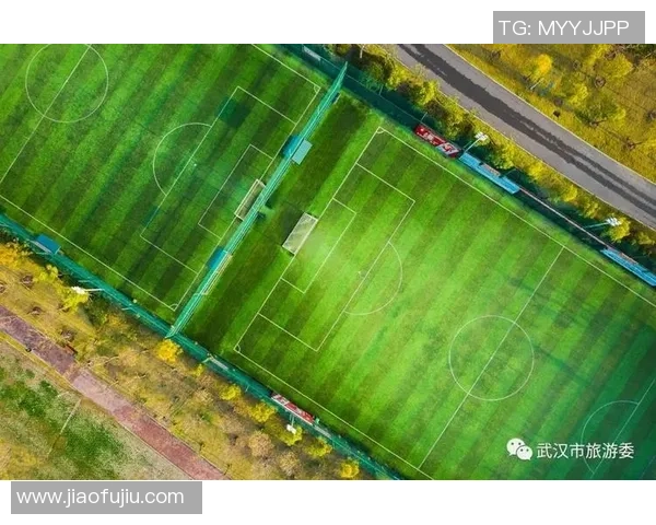 武汉极限运动队灵活性引发热议运动员表现与安全风险的辩论 武汉极限运动队灵活性引发热议运动员表现与安全风险的辩论